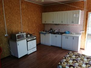 a kitchen with a stove and a microwave in it at Частный постоялый двор "Амурчанка" in Vityazevo