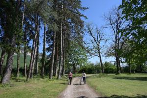 two people walking down a dirt road with trees at Résidence des Cèdres - Citotel in Villebois