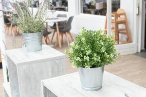 Fotografie z fotogalerie ubytování Zum Alten Fährhaus - Bed & Breakfast v destinaci Wrohm