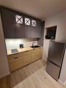 ユラタにあるApartament Jurata Deluxeのキッチン(木製キャビネット、ステンレス製の冷蔵庫付)