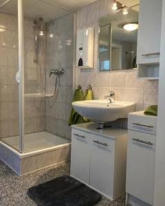 a bathroom with a sink and a shower and a sink at Ferienwohnung schöner Rheingau in Bad Schwalbach +17 photos