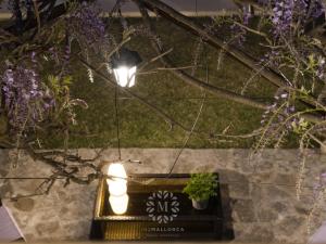 een licht in een tuin met paarse bloemen bij VILLA CAN PERIC WITH POOL Quiet and spacious in Pollença
