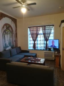 ein Wohnzimmer mit einem Sofa und einem Flachbild-TV in der Unterkunft Apartmán Pod věží II in Česká Kamenice