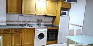 cocina con lavadora y fregadero en Apartamentos Tuara, en Castejón de Sos