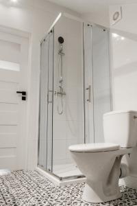 biała łazienka z prysznicem i toaletą w obiekcie Daszówka Bieszczady w mieście Ustrzyki Dolne