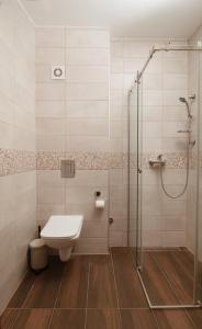 a bathroom with a shower and a toilet and a sink at Apartman Kaćun - Divčibare in Divčibare