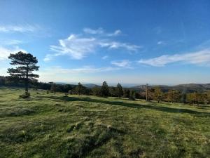 Príroda v okolí apartmánu