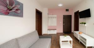 Televízia a/alebo spoločenská miestnosť v ubytovaní Apartman Kaćun - Divčibare
