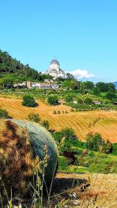 un edificio in cima a una collina con un campo di Europalace Hotel Todi a Todi