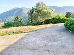 Príroda v okolí vily