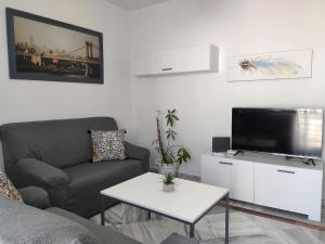 a living room with a couch and a flat screen tv at Apartamento Amplio junto al Centro in Málaga