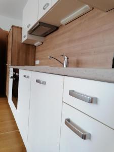 Köök või kööginurk majutusasutuses Appartement Alpenglück