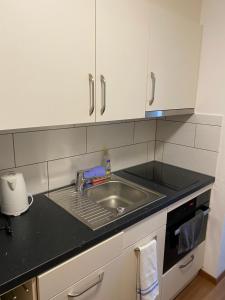 Moderne Ferienwohnung in Laax - Modern apartment in Laax的厨房或小厨房