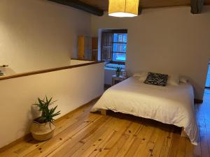 ein Schlafzimmer mit einem Bett und einer Topfpflanze in der Unterkunft El Rollo in Molinaseca