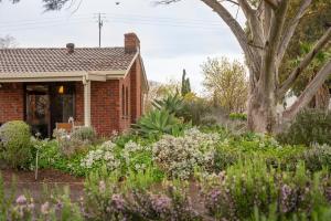 Gallery image of Linger Longer Vineyard in Willunga