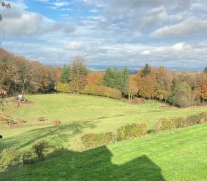 a large green field with horses grazing in it at Ash Tree in Vire