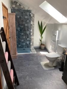 a bathroom with a shower and a toilet and a sink at Ash Tree in Vire