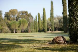 Gallery image of Mas des Songes in Monteux