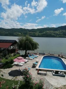 a swimming pool next to a large body of water at Cabana Delfinul in Dubova