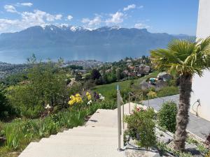 Paesaggio naturale nelle vicinanze dell'appartamento