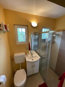a bathroom with a toilet and a shower and a sink at Ágnes Nyaralóház in Balatonmáriafürdő