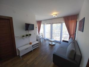 Televízia a/alebo spoločenská miestnosť v ubytovaní Apartman Kaćun - Divčibare