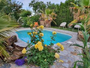 uma piscina num jardim com flores em La Placeta Guesthouse em Pórtugos