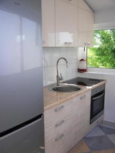 Kuchyňa alebo kuchynka v ubytovaní Apartment in Preko with sea view, terrace, air conditioning, Wi-Fi (4568-6)