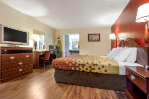コートランドにあるEcono Lodgeのベッドとデスクが備わるホテルルームです。