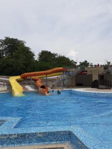 a swimming pool with a slide in the water at Apartman Markovic Silver Lake in Veliko Gradište
