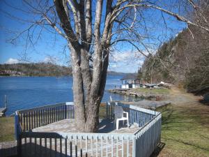 a fence around a tree with a bench next to a lake at Salmon River Country Inn in Head of Jeddore