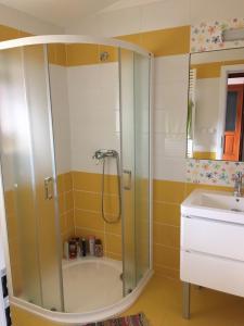 a bathroom with a shower and a sink at Matějovec 109 & Ubytování Na statku in Český Rudolec