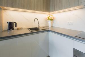 Kuchnia lub aneks kuchenny w obiekcie HollyŁódź Apartment NETFLIX
