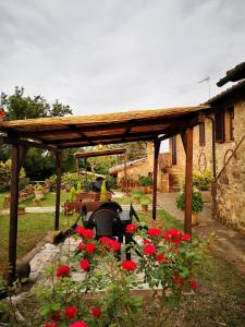 een tuin met rode bloemen en een houten pergola bij Agriturismo grecinella in Casole dʼElsa
