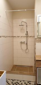a shower with a shower head in a bathroom at Ferienwohnung Kell am See in Kell +10 photos