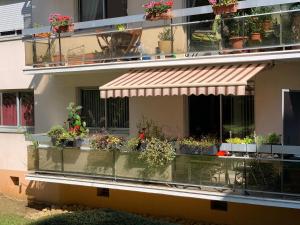 einen Balkon mit Topfpflanzen auf einem Gebäude in der Unterkunft Mes Oasis Nancy in Villers-lès-Nancy