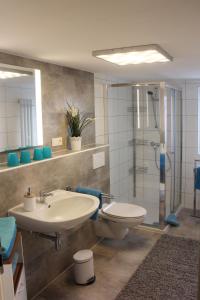 a bathroom with a sink and a toilet and a shower at Gästehaus Silvia in Freigericht