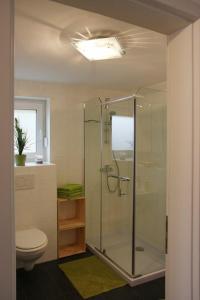 a bathroom with a glass shower and a toilet at Gästehaus Silvia in Freigericht