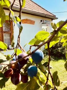 a bunch of fruit on a tree in front of a house at Ubytovanie u Aranky in Čierna nad Tisou