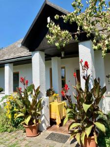 Imagine din galeria proprietății Ubytovanie u Aranky în Čierna nad Tisou