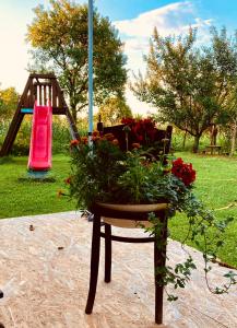 Imagine din galeria proprietății Ubytovanie u Aranky în Čierna nad Tisou