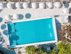 Vista de la piscina de Hotel Syrene o alrededores
