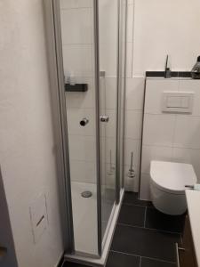 a bathroom with a shower and a toilet at Ferienwohnung Saarblick in Ockfen