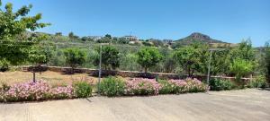a garden with pink flowers behind a fence at Filio rooms in Kythira