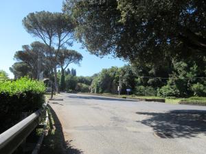 uma rua vazia com árvores ao lado da estrada em Radici Etrusche Sutri em Sutri