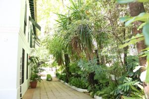 Zahrada ubytování Apartamentos Los Manueles