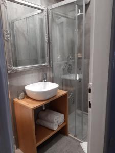 La salle de bains est pourvue d'un lavabo et d'une douche. dans l'établissement Palac - Giordano, à Valun