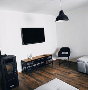 TV a/nebo společenská místnost v ubytování Modern family apartment ZARA