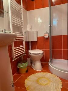 uma casa de banho com um WC, um chuveiro e um tapete. em Pensiunea Ioana Mariana em Botiza