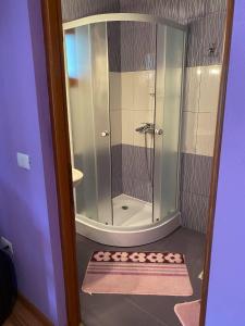 a shower with a glass door and a pink rug at Pensiunea Ioana Mariana in Botiza